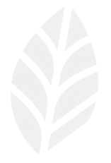 Hijli Investment Advisors